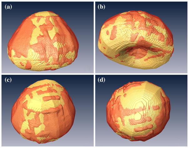 Fig. 5