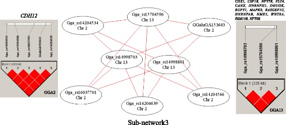 Fig. 3