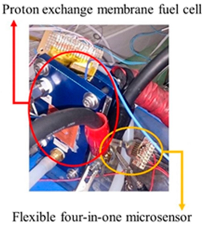 Figure 10