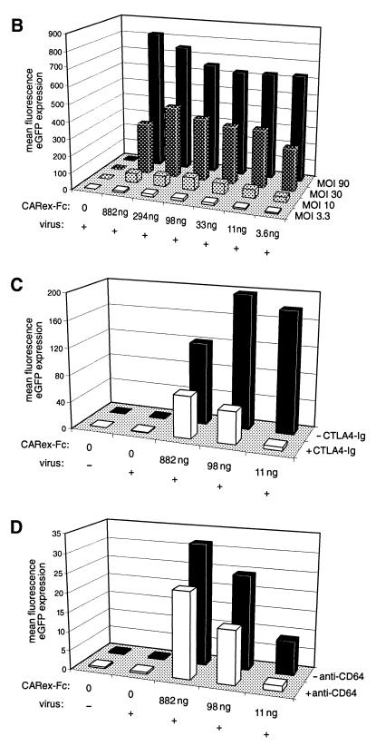 FIG. 6