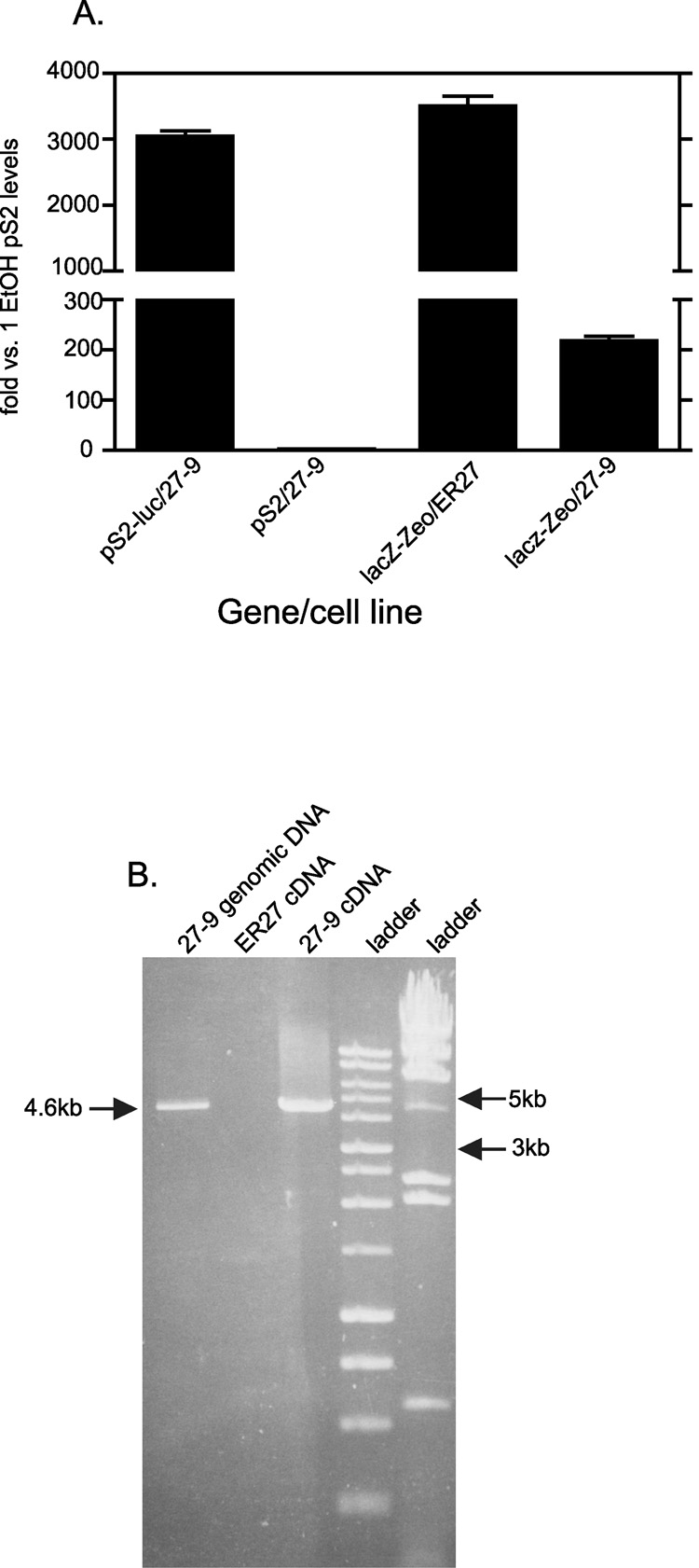 Fig. 9