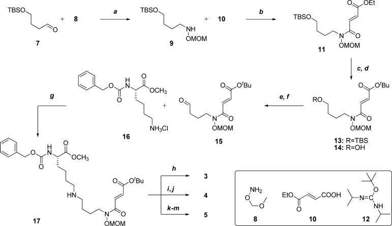 Scheme 1