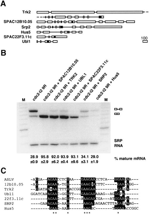 Figure 7.