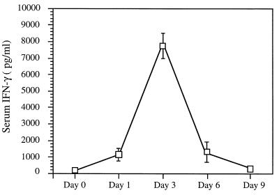 FIG. 6
