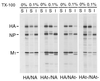 FIG. 9