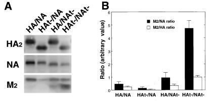 FIG. 8