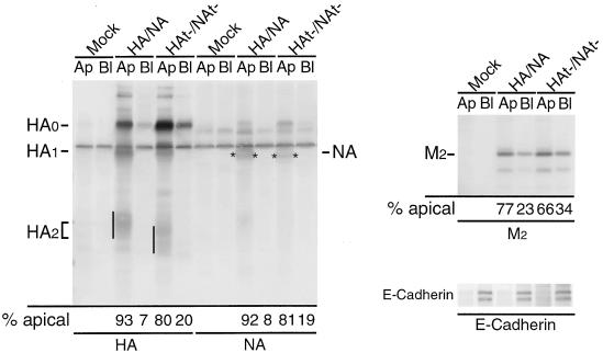 FIG. 6