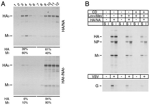 FIG. 5