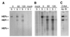 FIG. 7