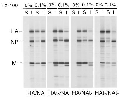 FIG. 9