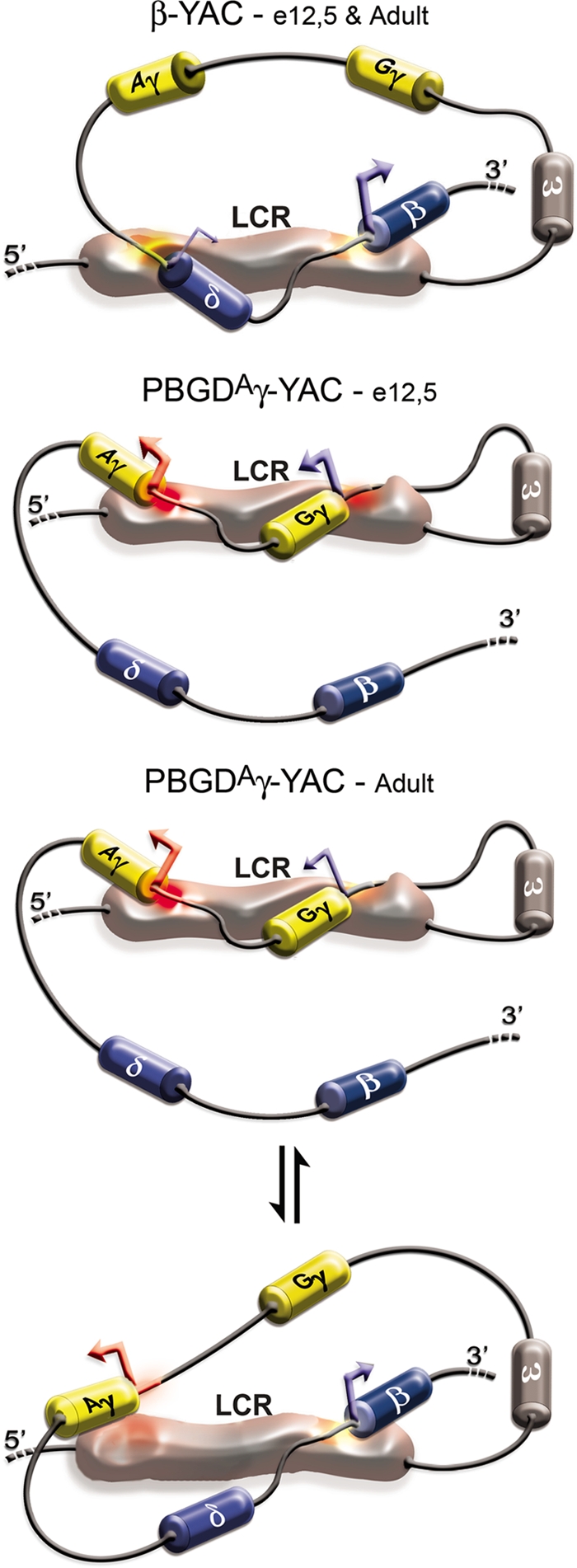 FIG. 7.