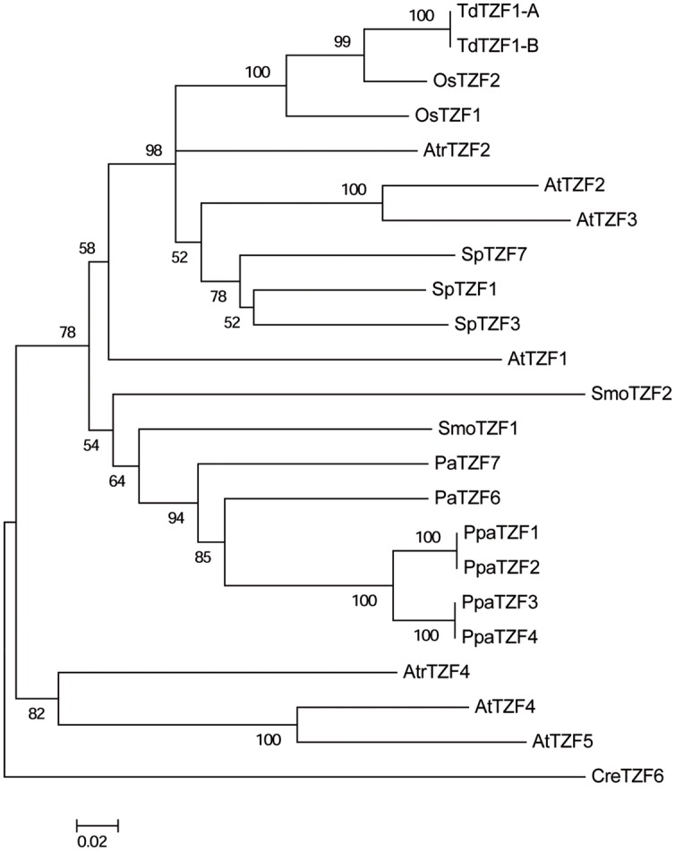 FIGURE 7