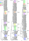 FIG 1