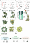 Extended Data Fig. 4