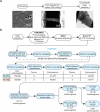 Extended Data Fig. 1