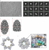 Extended Data Fig. 6