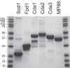 FIG 1