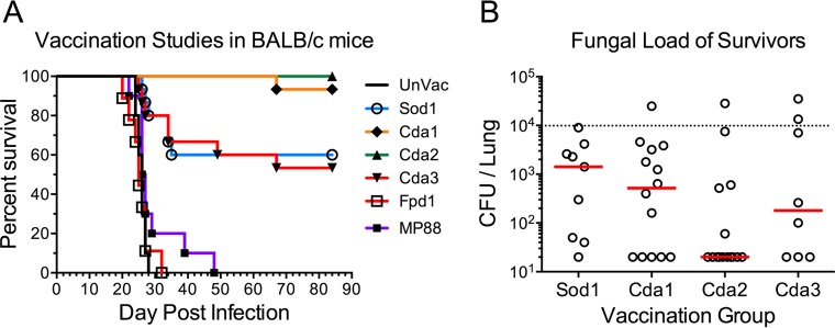 FIG 3 