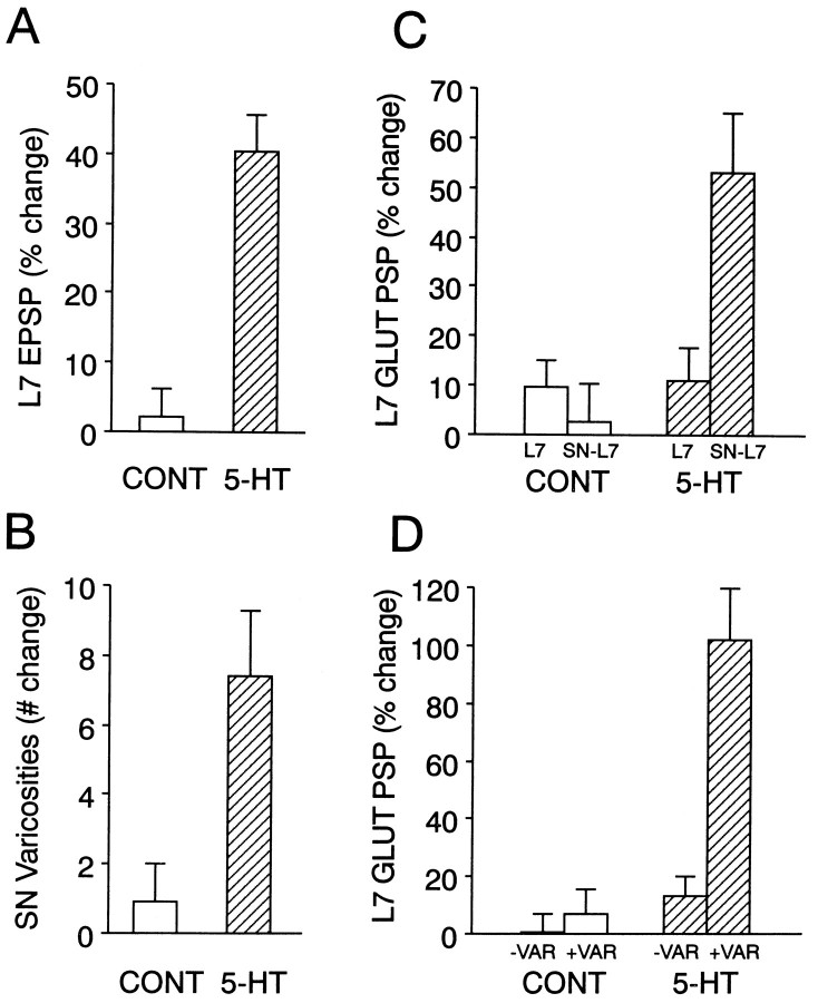 Fig. 8.