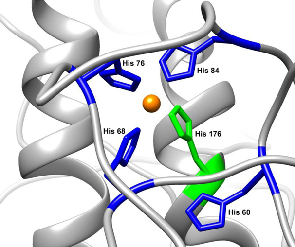 Figure 7: