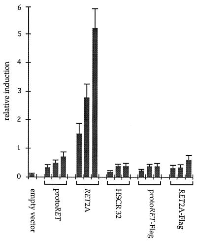 FIG. 6