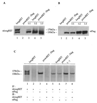 FIG. 9