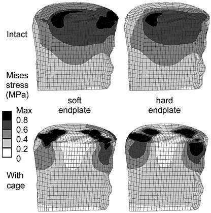 Fig. 6.