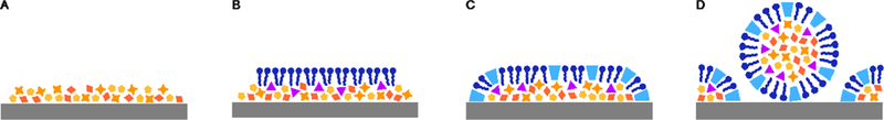 Fig. 7.