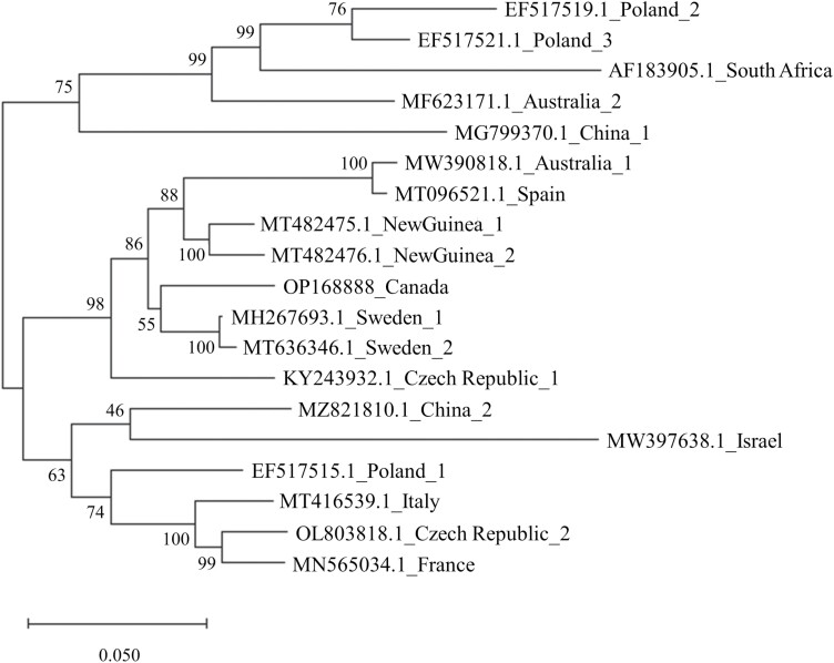 Fig. 1.