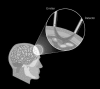 <b>FIG. 1.</b>