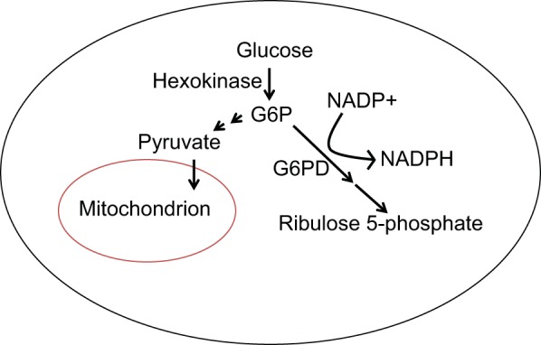 Fig. 1.