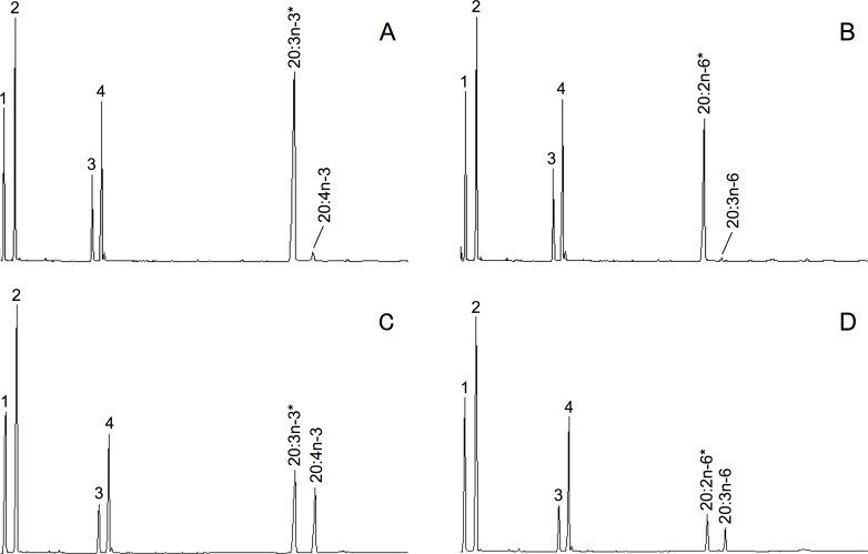 Fig 5