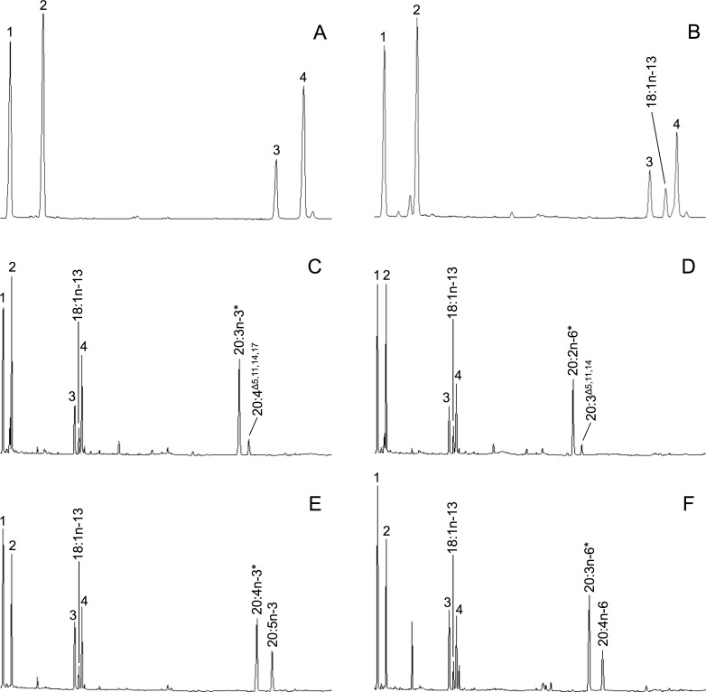 Fig 4