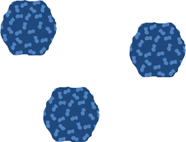 graphic file with name 41598_2020_67023_Fige_HTML.gif