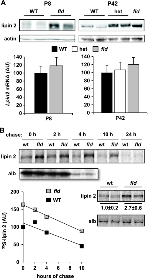 FIGURE 4.