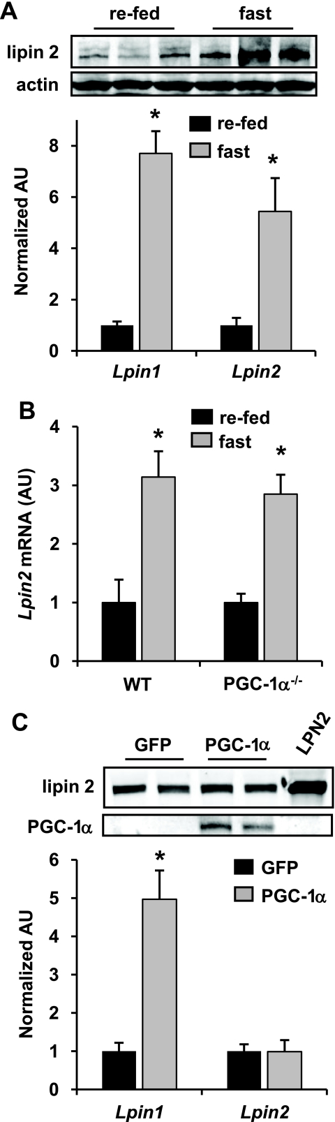 FIGURE 5.