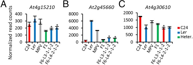 Fig. 7.