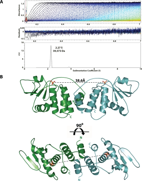 FIGURE 1.