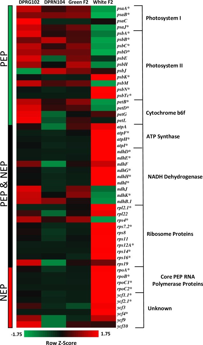 Fig 6