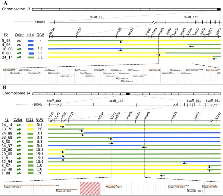 Fig 2