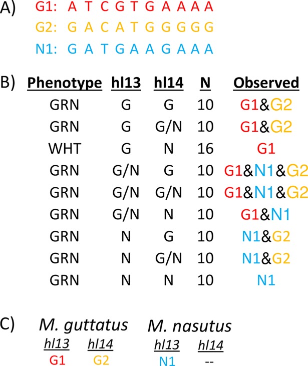 Fig 3