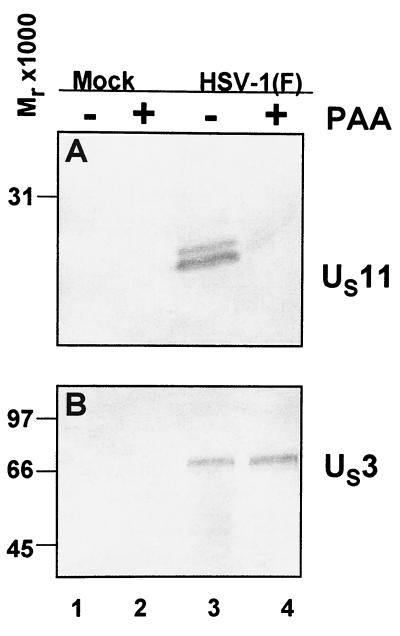 FIG. 8