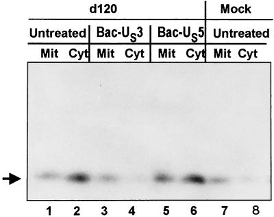 FIG. 6