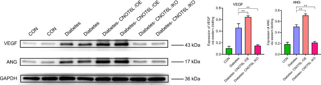 Fig. 13