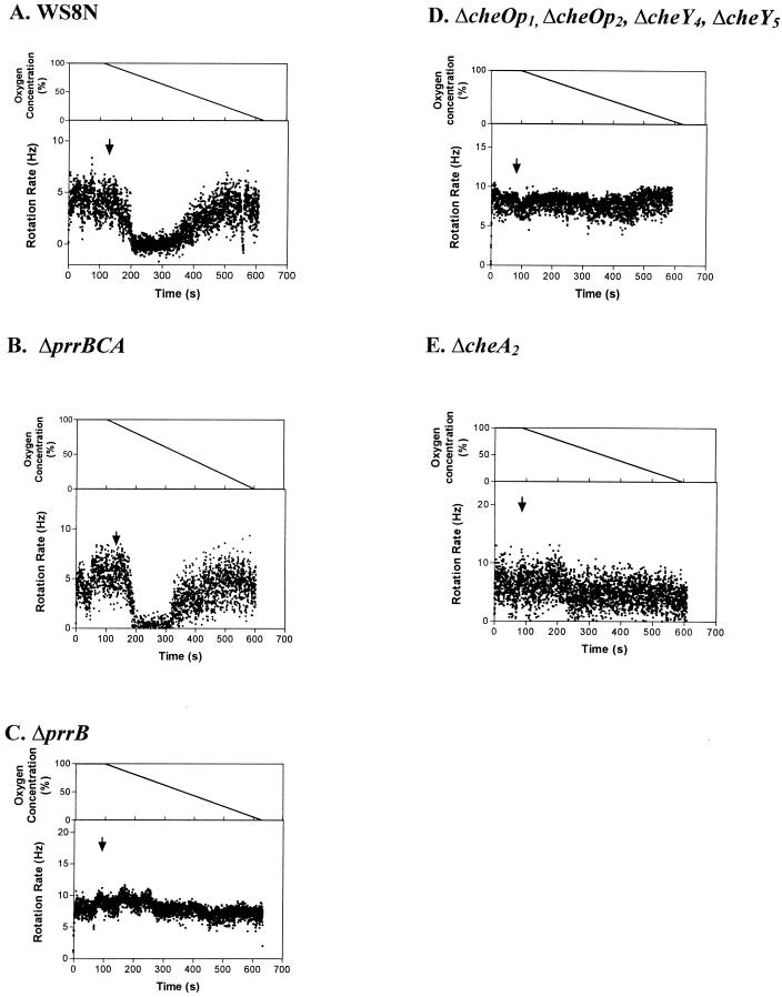 FIG. 6.