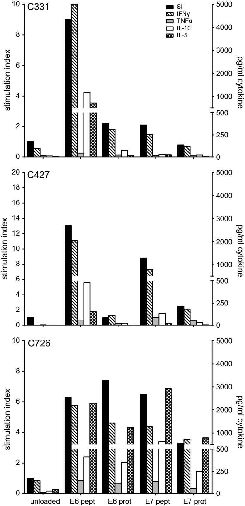 Fig. 2