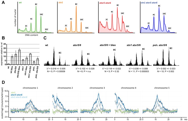 Figure 6