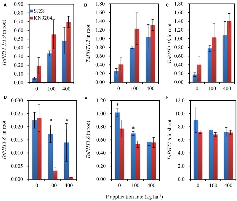 FIGURE 6