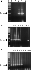 FIG. 6