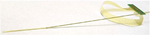 graphic file with name nihms-1914077-t0014.jpg